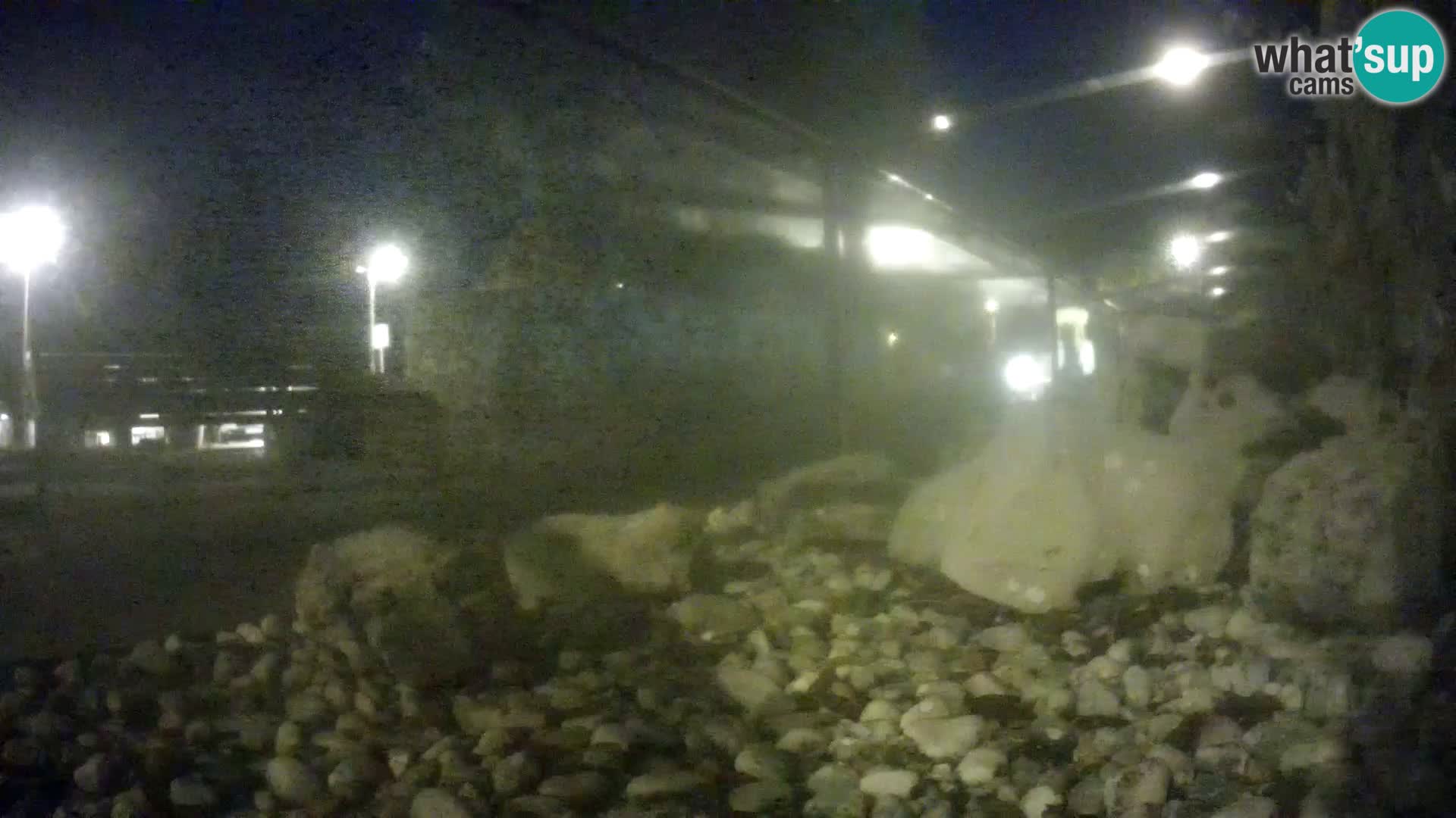 Zunanji morski akvarij Rogoznica spletna kamera Hrvaška