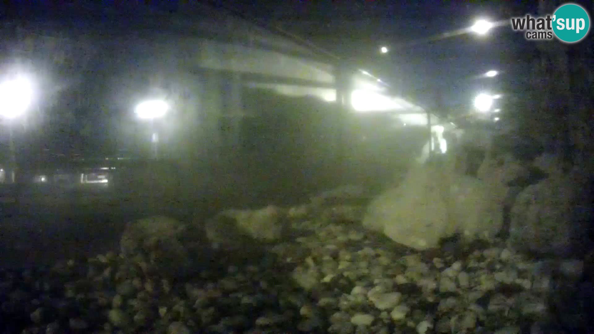 Outdoor Marine Aquarium Rogoznica webcam Croatia