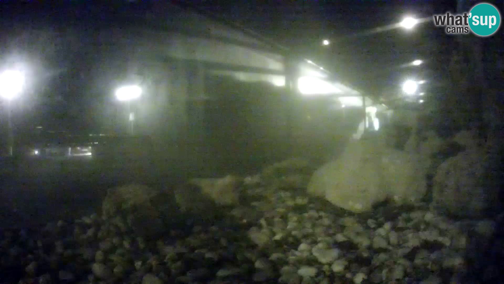 Webcam de l’aquarium marin extérieur de Rogoznica Croatie