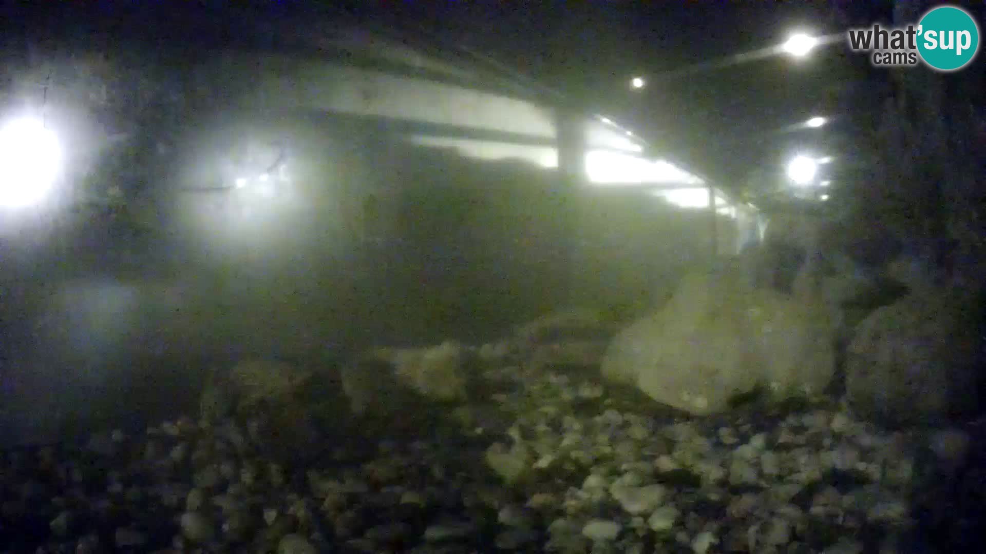 Outdoor Marine Aquarium Rogoznica webcam Croatia