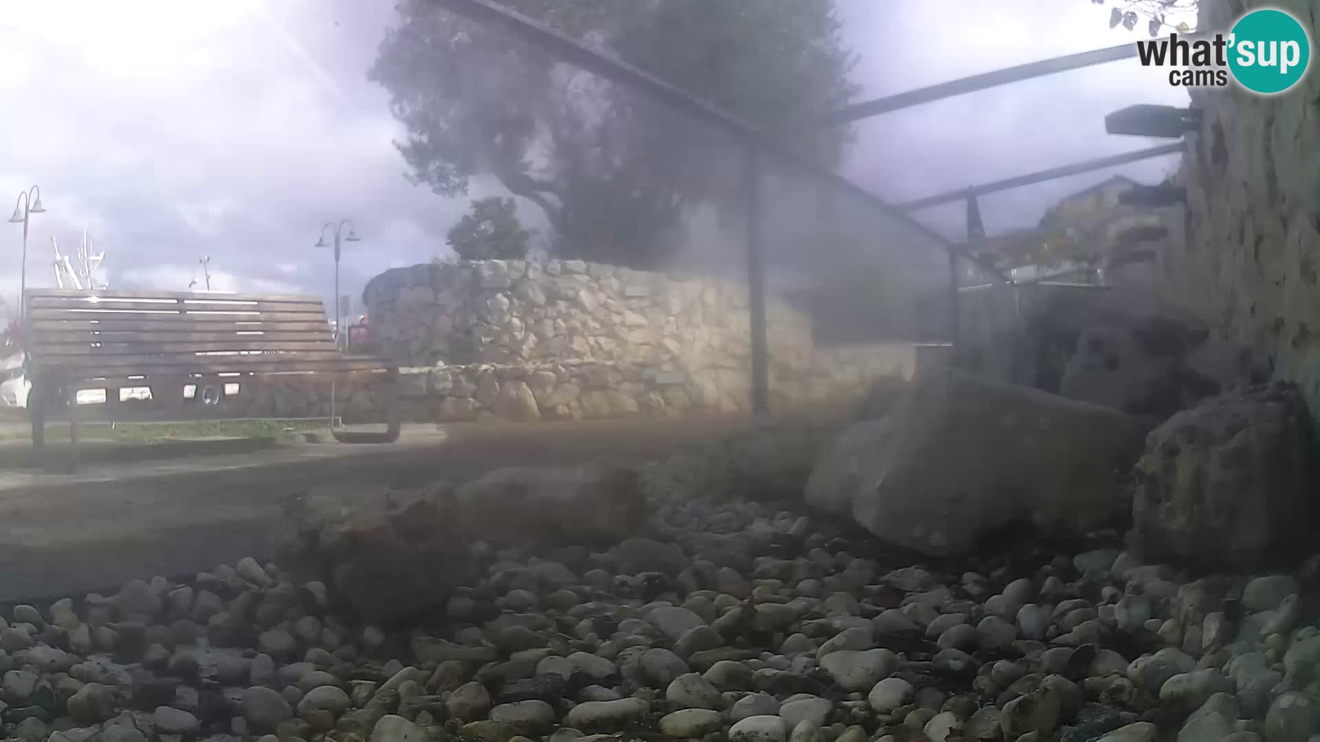 Zunanji morski akvarij Rogoznica spletna kamera Hrvaška