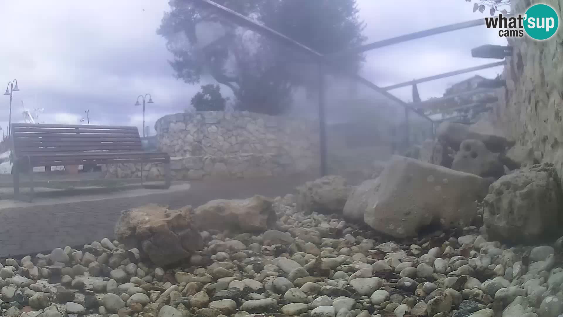 Vanjski morski akvarij Rogoznica web kamera Hrvatska