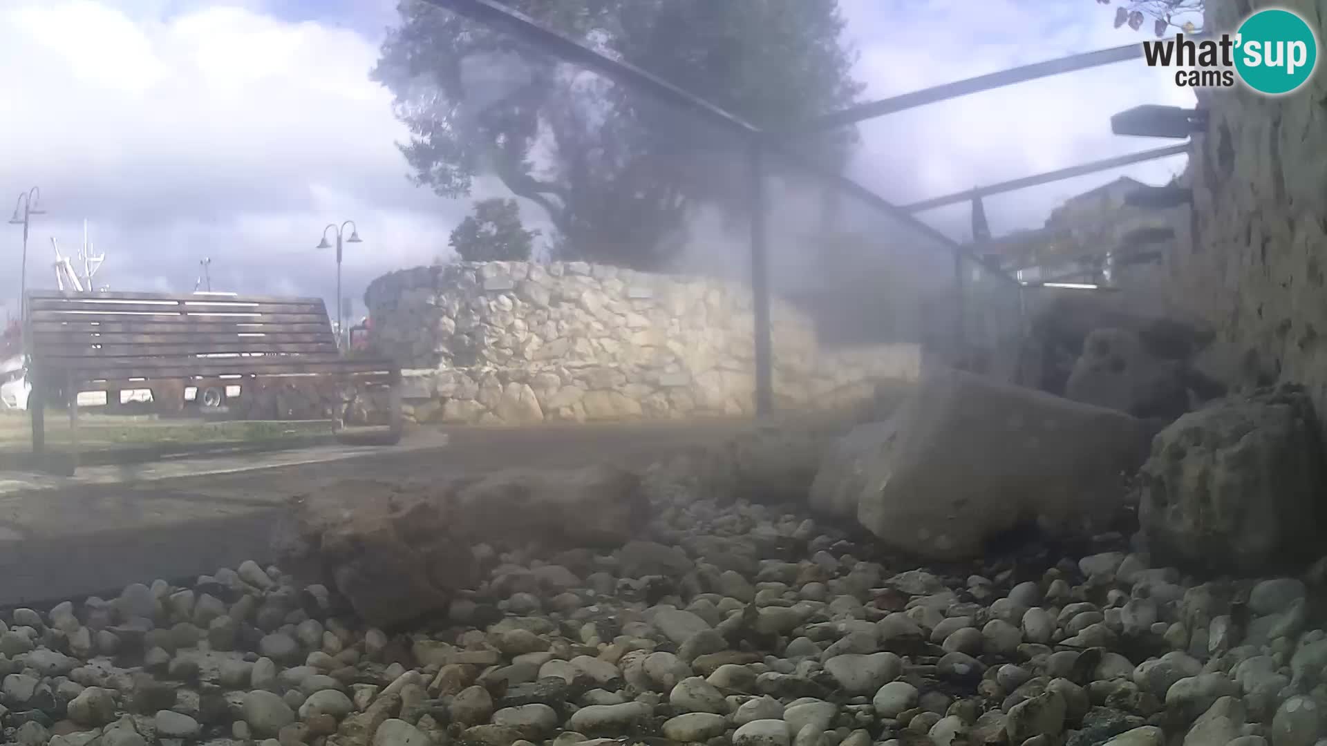 Acuario marino al aire libre Rogoznica webcam Croacia