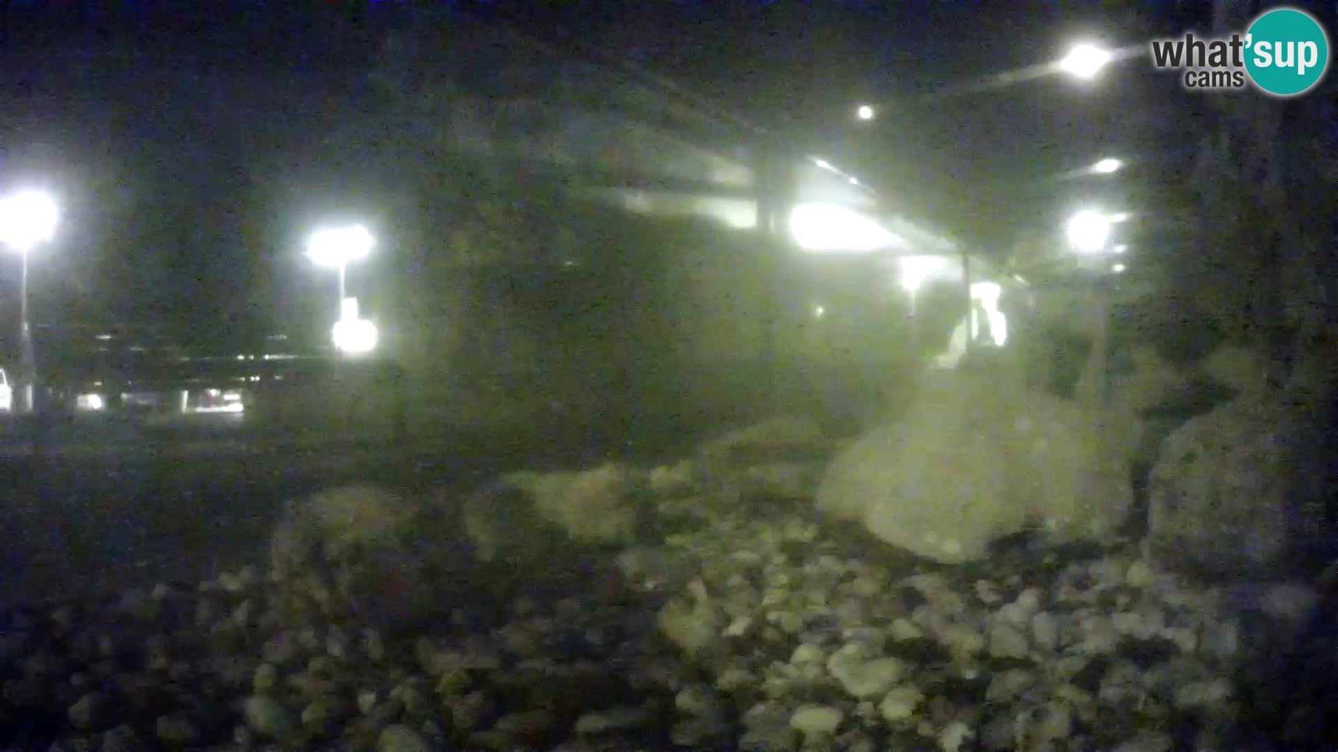 Acuario marino al aire libre Rogoznica webcam Croacia