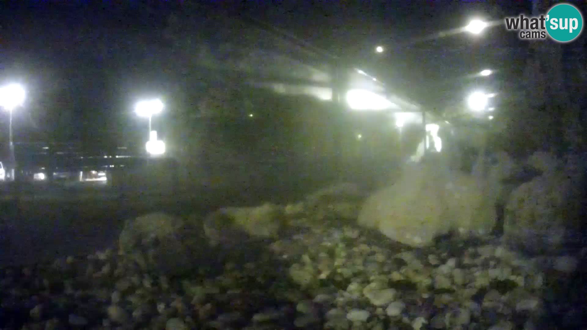 Vanjski morski akvarij Rogoznica web kamera Hrvatska