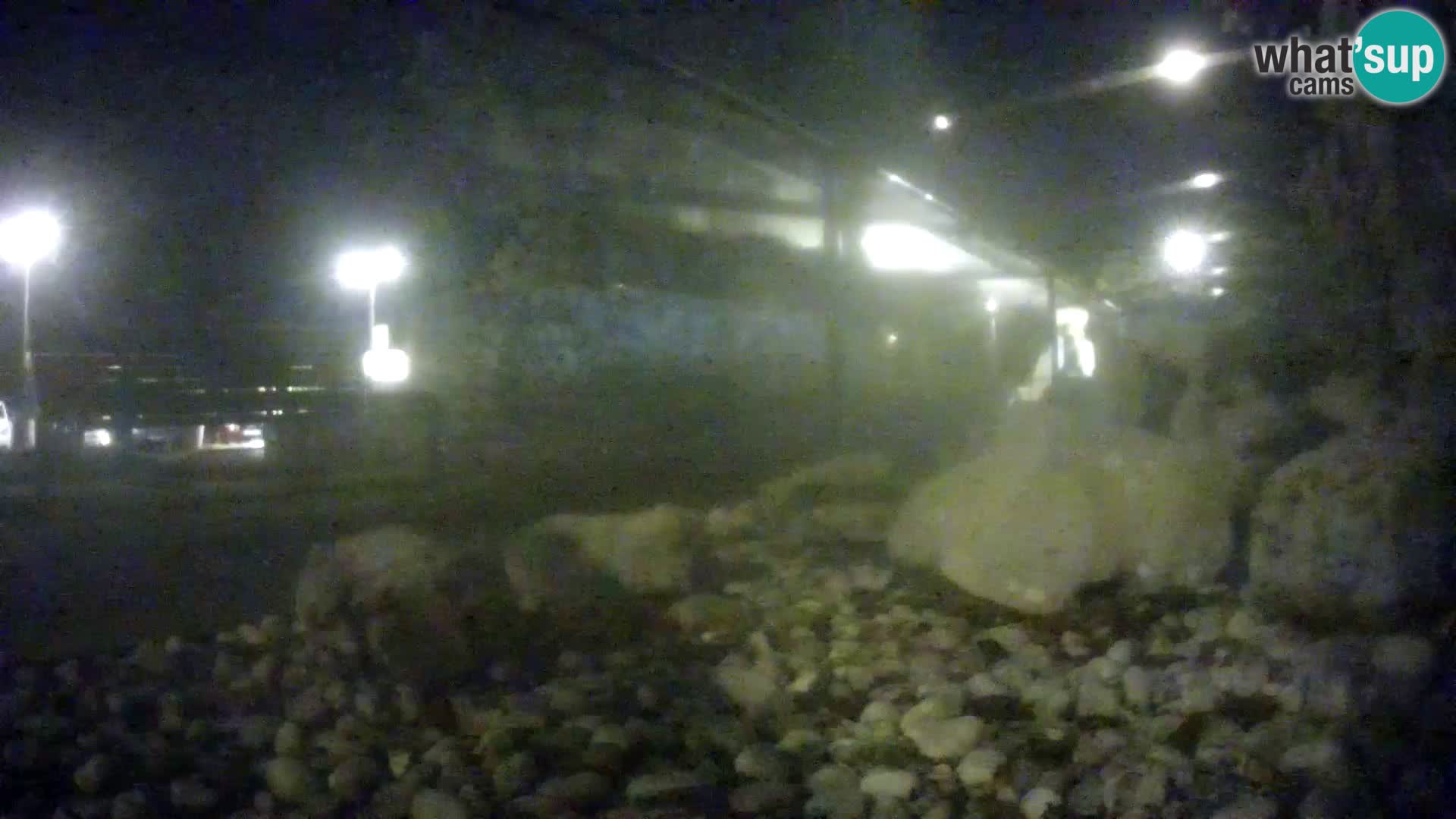 Aquario marino esterno –  Rogoznica livecam Croazia