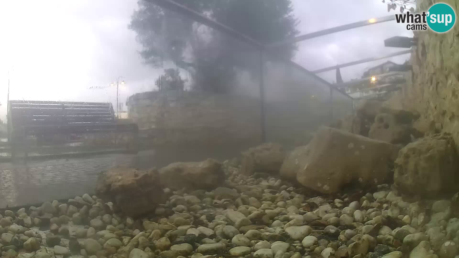 Aquario marino esterno –  Rogoznica livecam Croazia