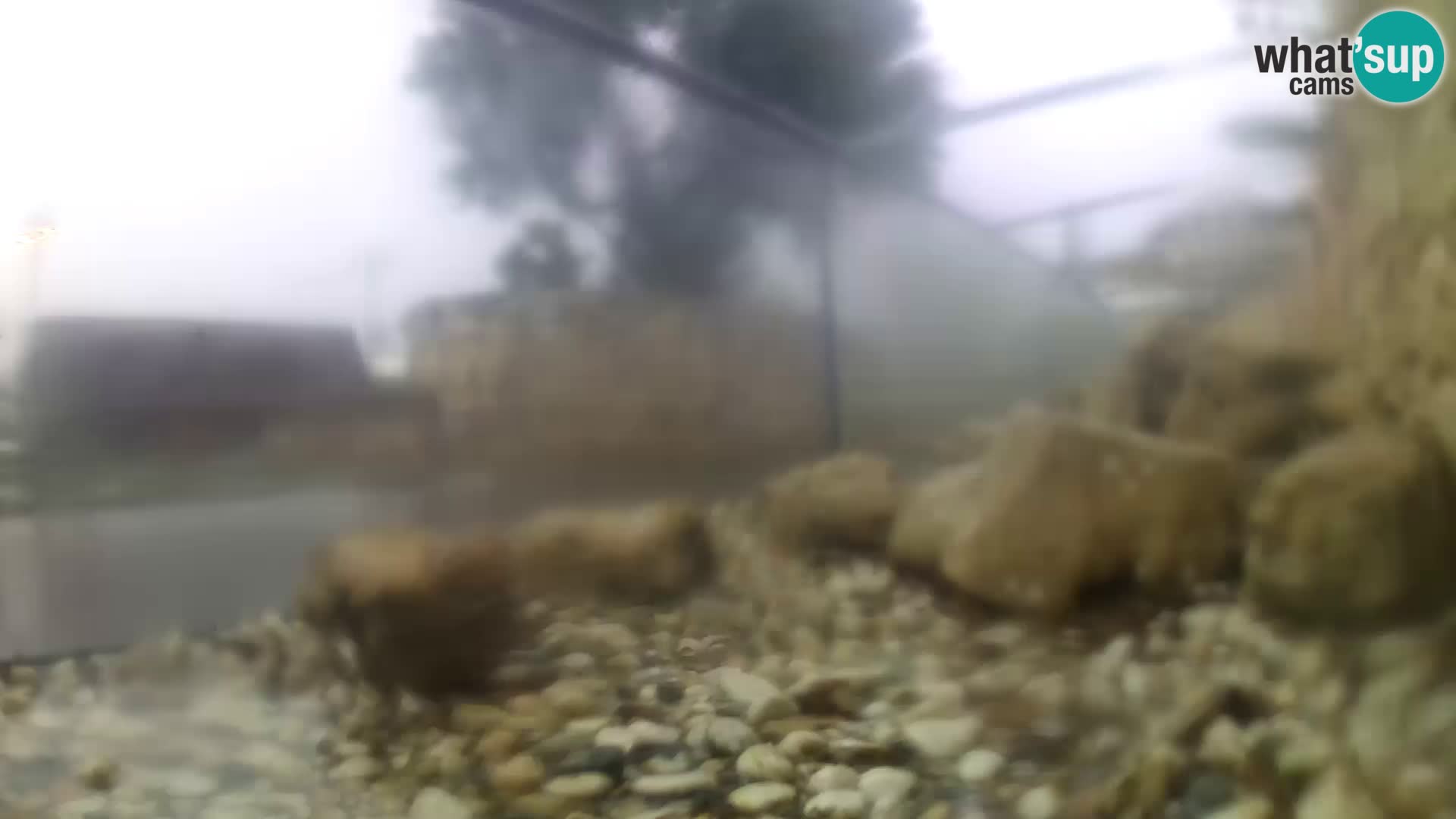 Outdoor Marine Aquarium Rogoznica webcam Croatia