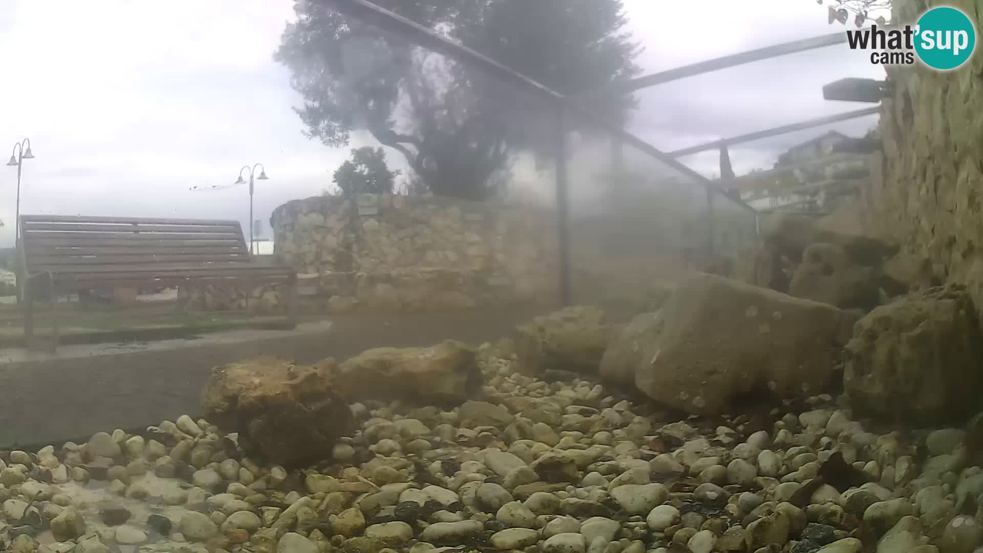 Aquario marino esterno –  Rogoznica livecam Croazia