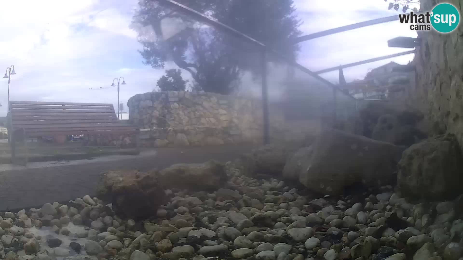 Webcam de l’aquarium marin extérieur de Rogoznica Croatie