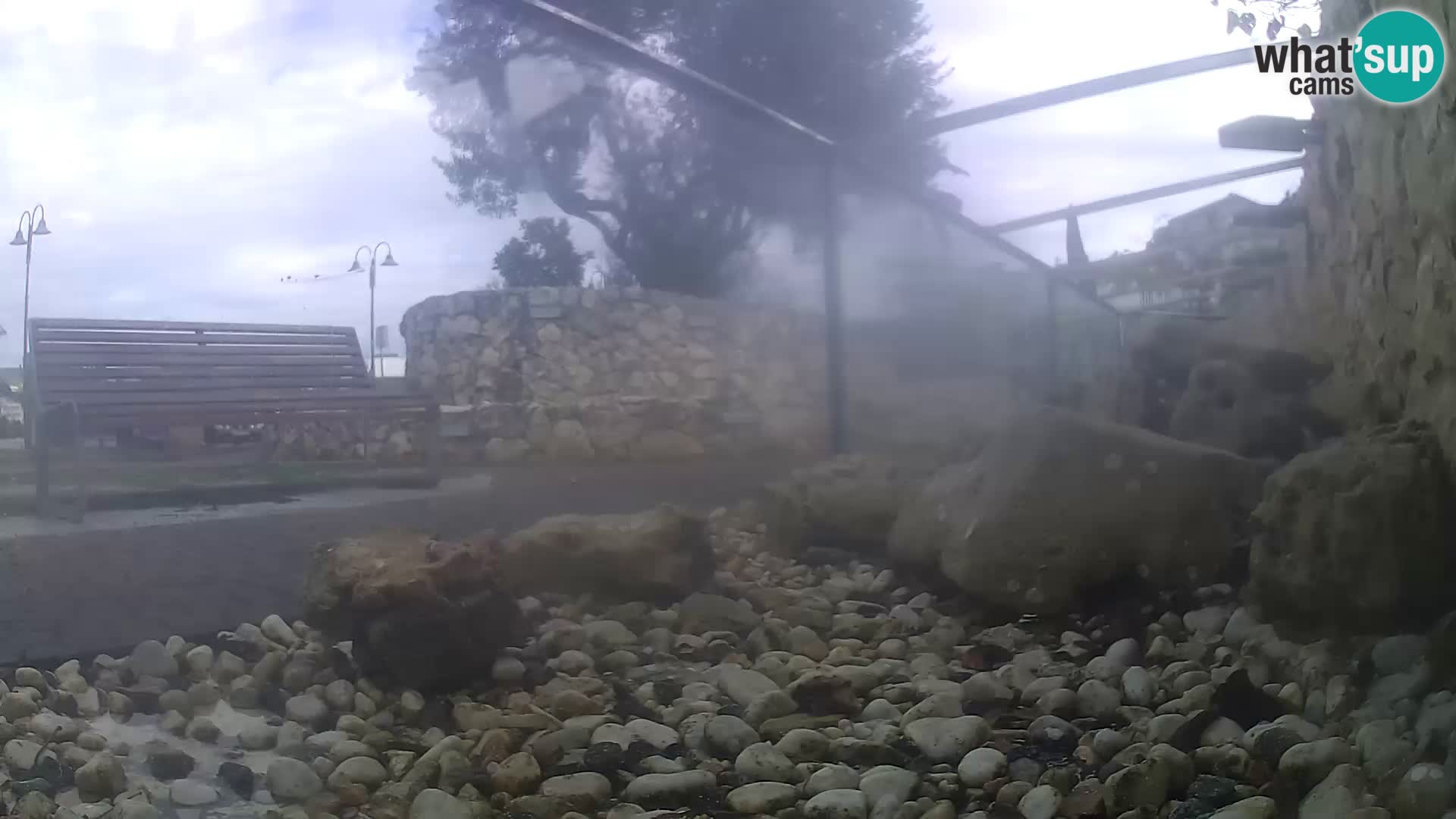 Aquario marino esterno –  Rogoznica livecam Croazia
