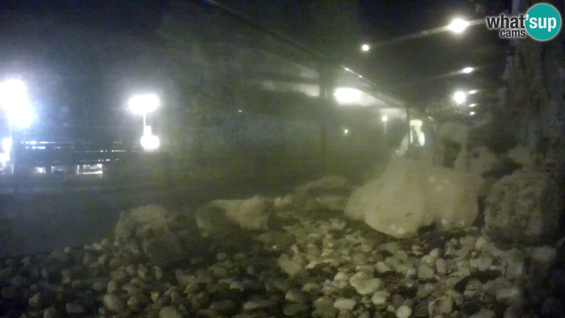 Outdoor Marine Aquarium Rogoznica webcam Croatia