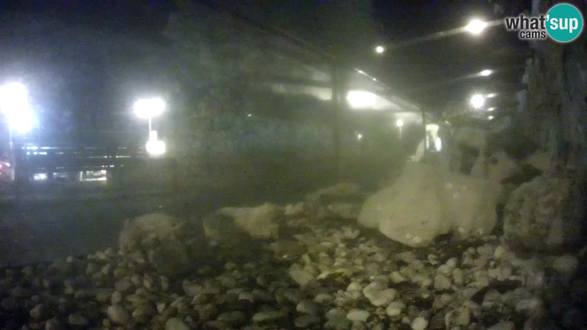 Acuario marino al aire libre Rogoznica webcam Croacia