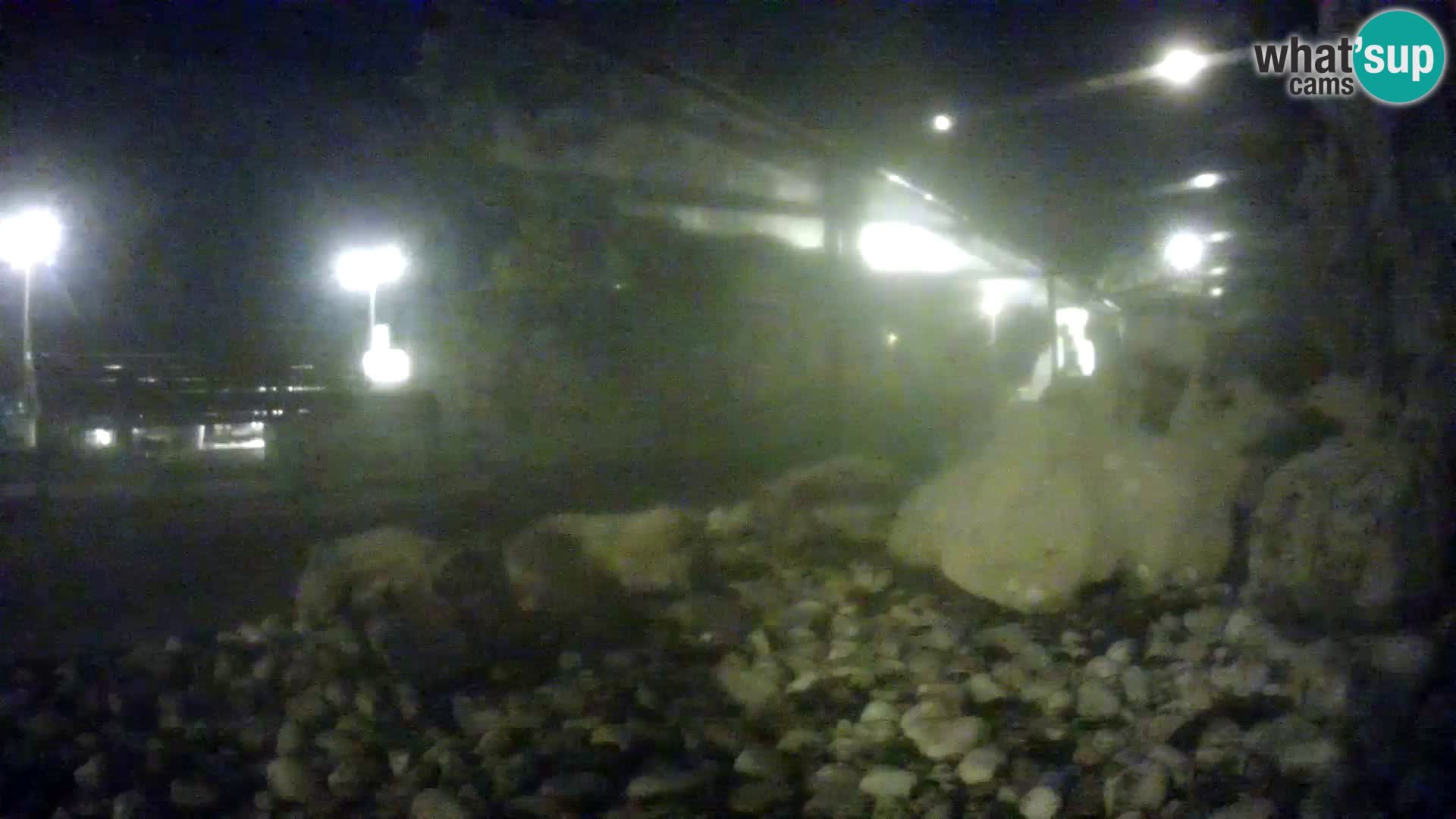 Outdoor Marine Aquarium Rogoznica webcam Croatia