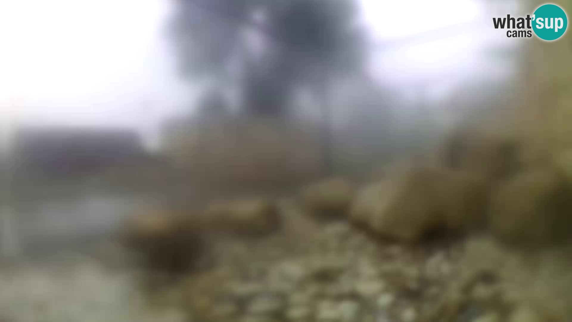 Outdoor Marine Aquarium Rogoznica webcam Croatia