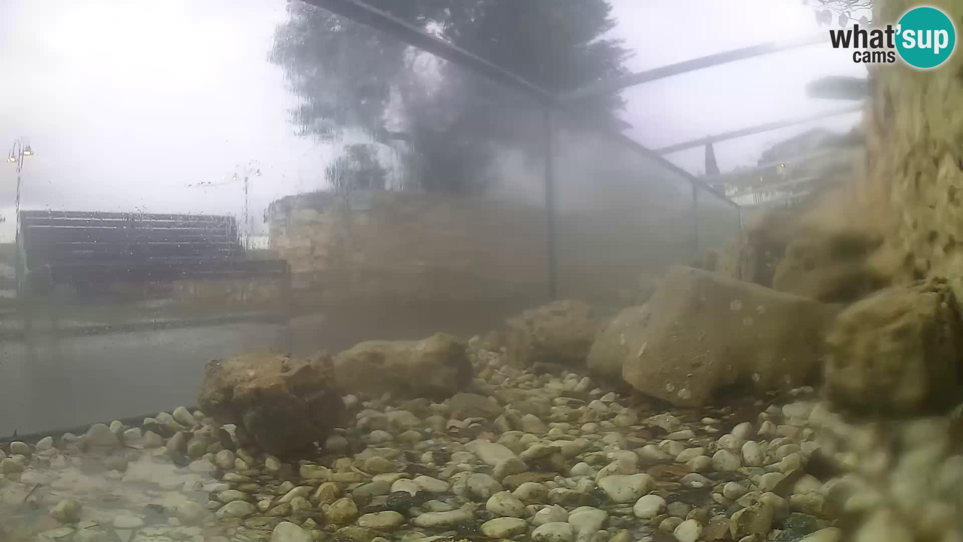 Vanjski morski akvarij Rogoznica web kamera Hrvatska