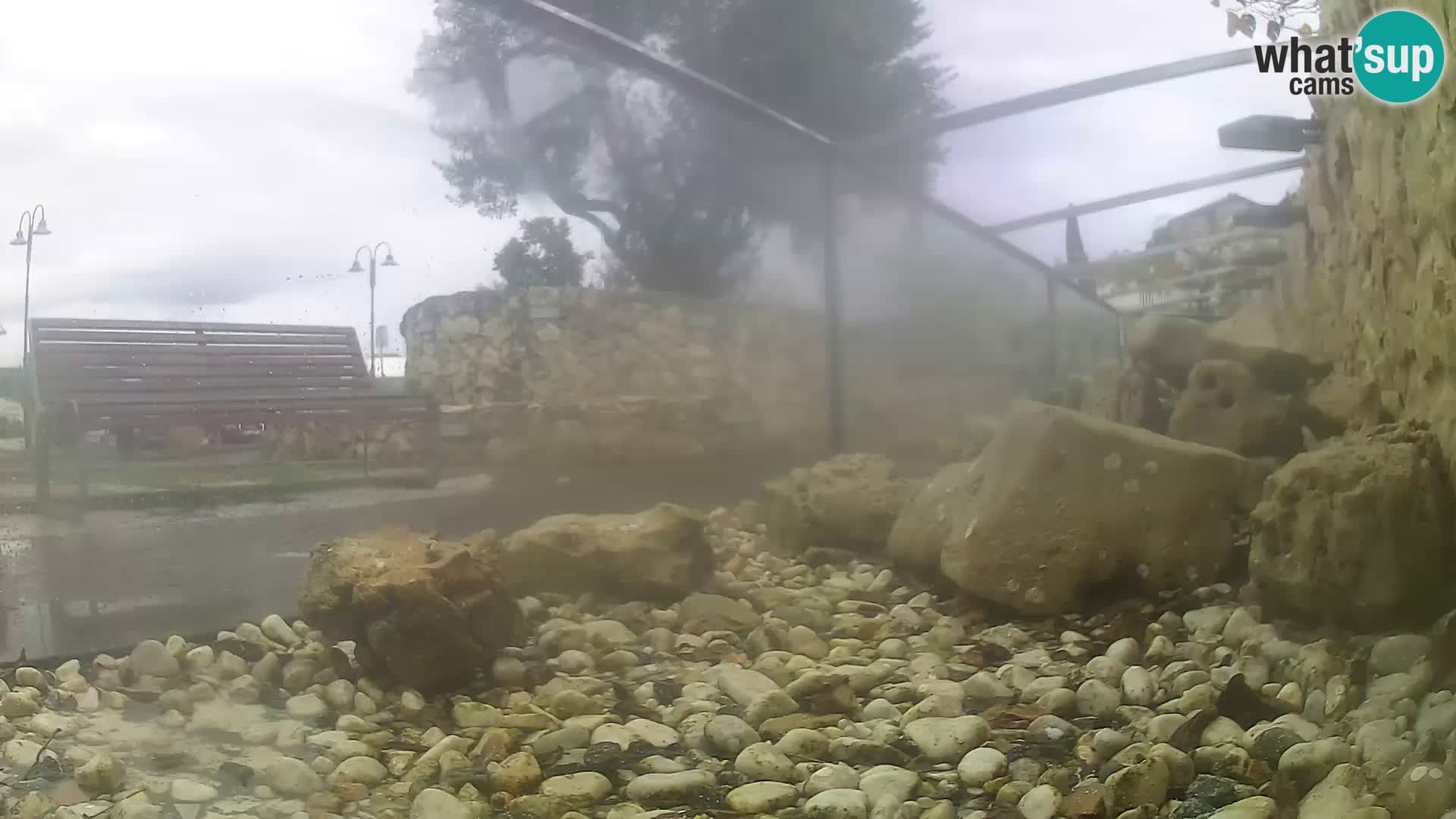 Outdoor Marine Aquarium Rogoznica webcam Croatia