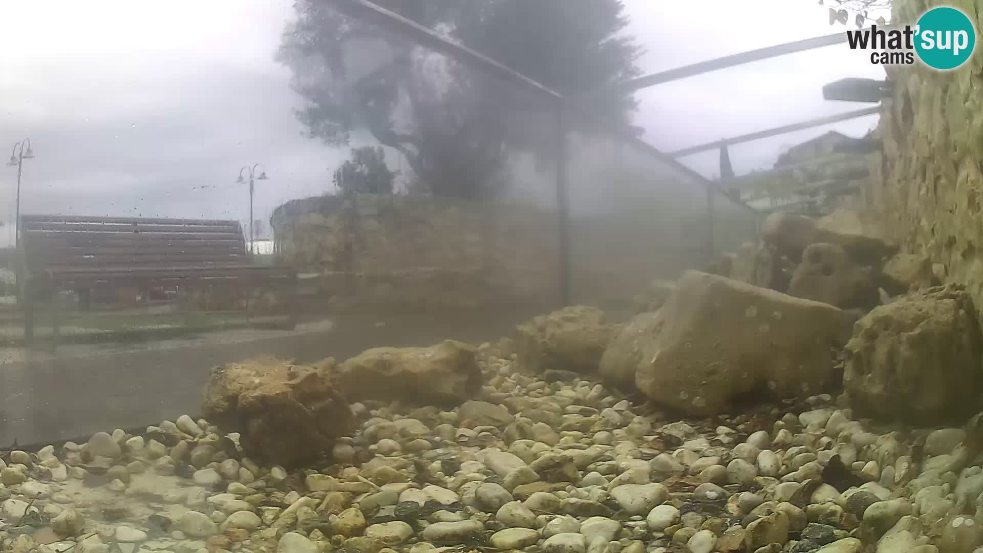 Outdoor Marine Aquarium Rogoznica webcam Croatia