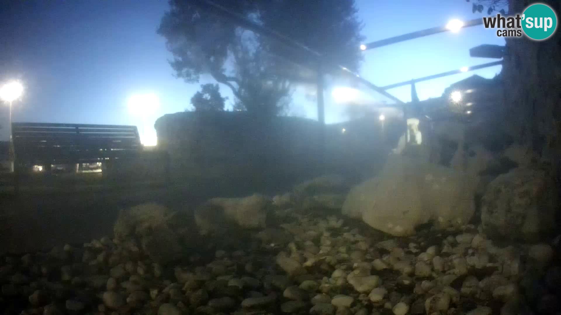 Vanjski morski akvarij Rogoznica web kamera Hrvatska