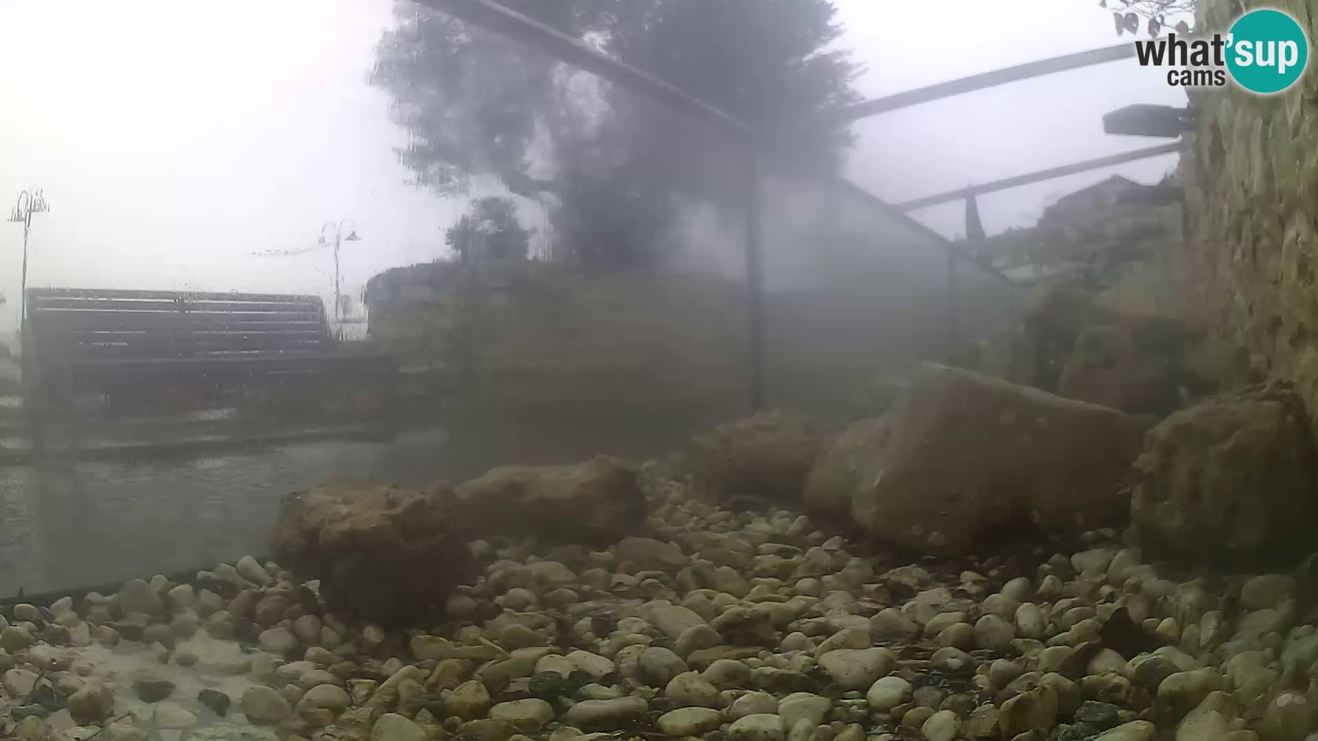 Webcam de l’aquarium marin extérieur de Rogoznica Croatie
