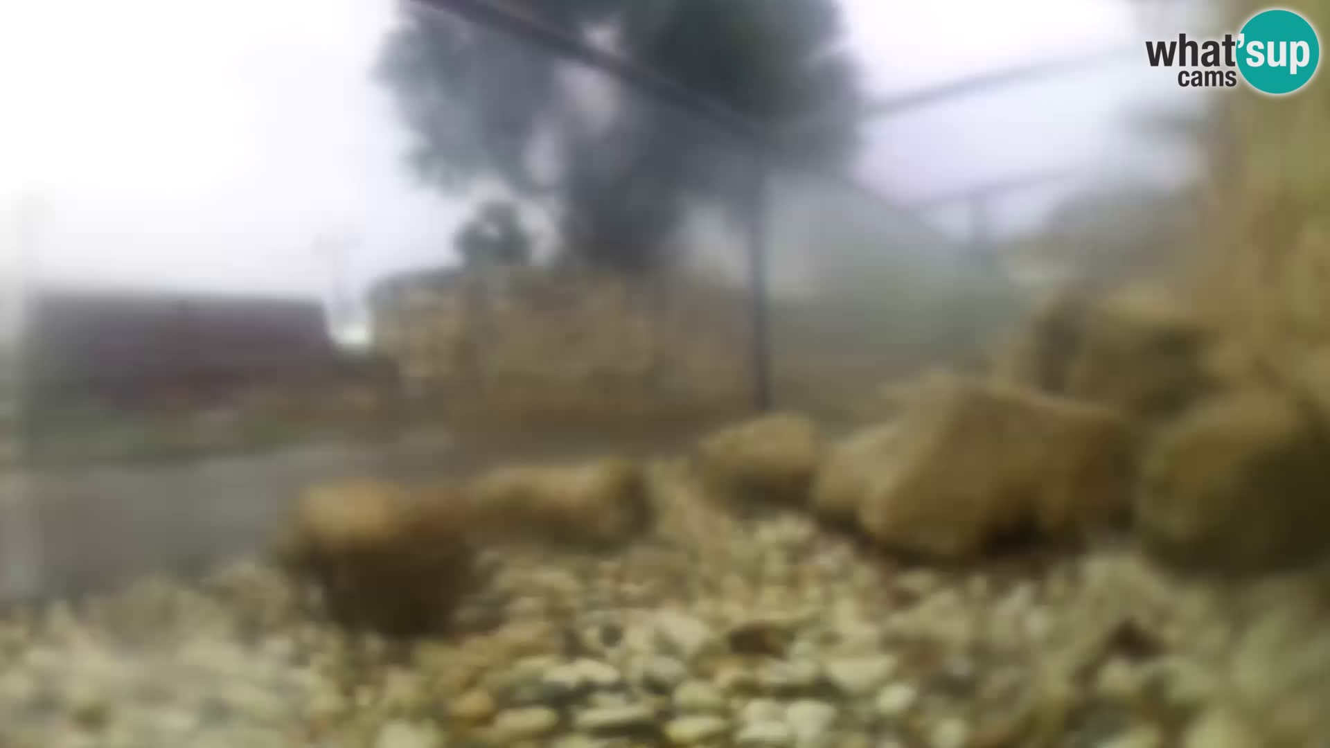 Outdoor Marine Aquarium Rogoznica webcam Croatia