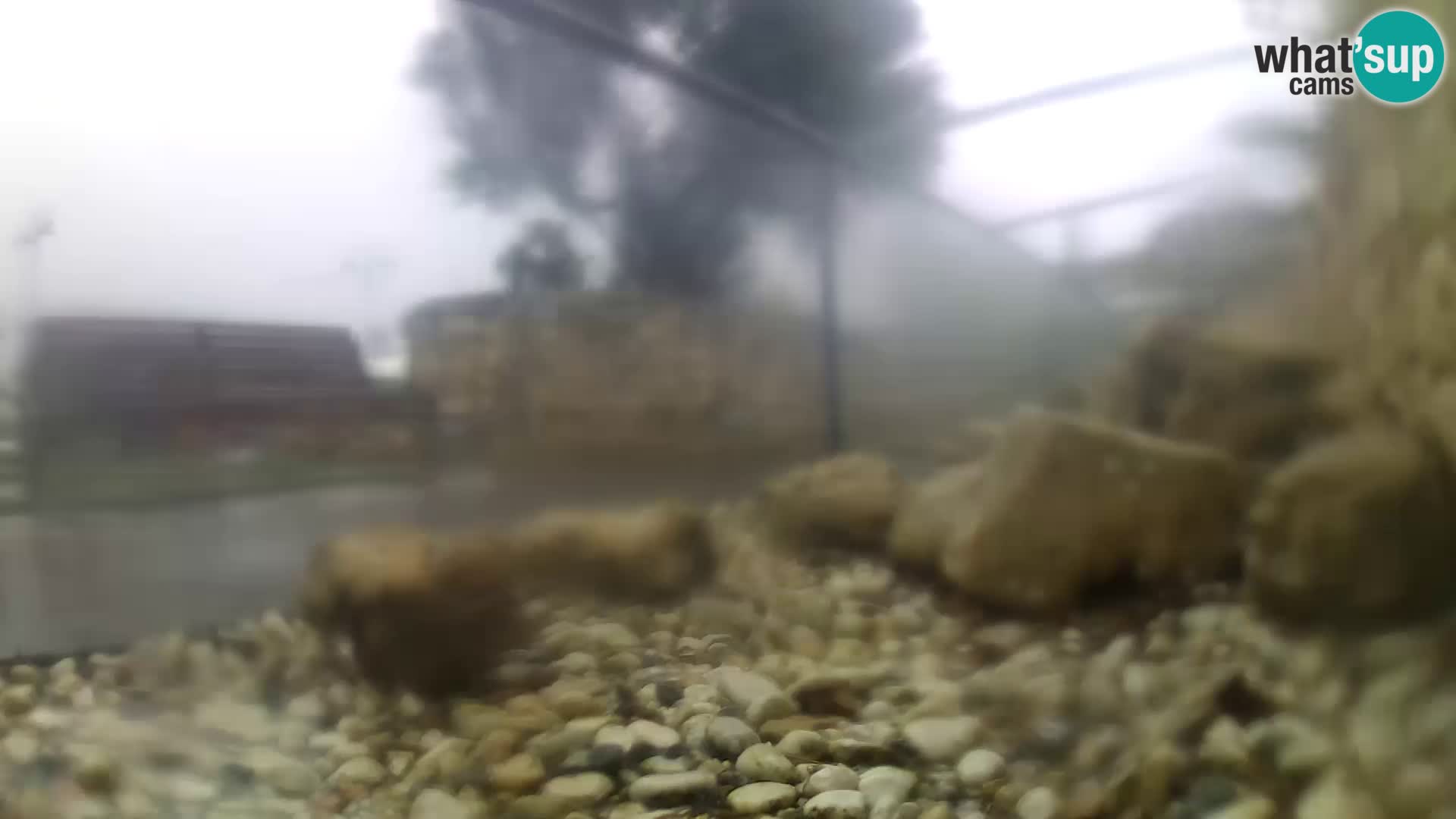 Aquario marino esterno –  Rogoznica livecam Croazia