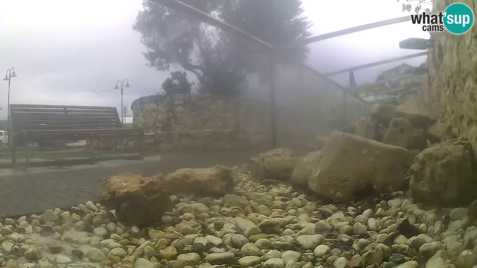Acuario marino al aire libre Rogoznica webcam Croacia