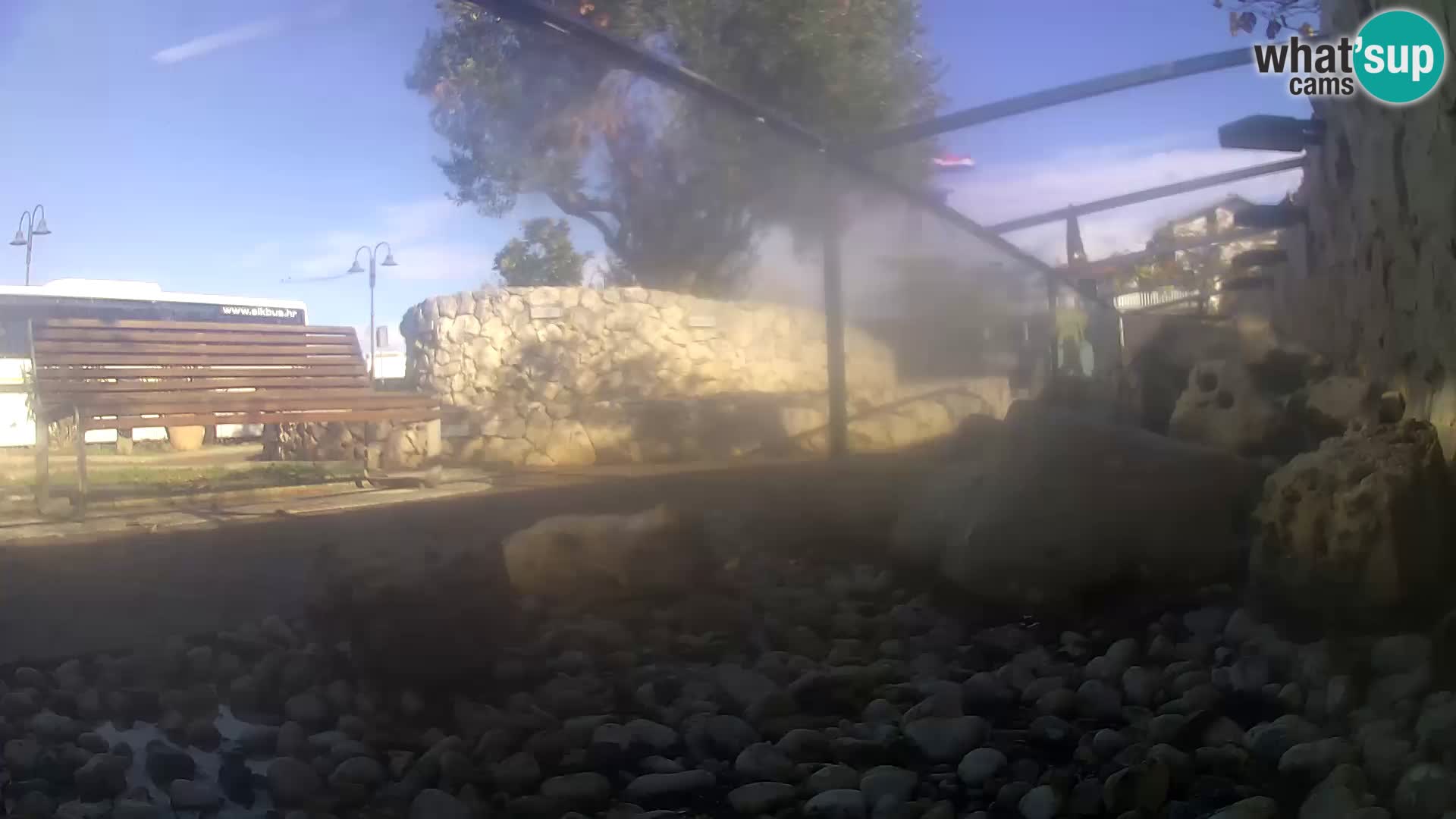 Aquario marino esterno –  Rogoznica livecam Croazia