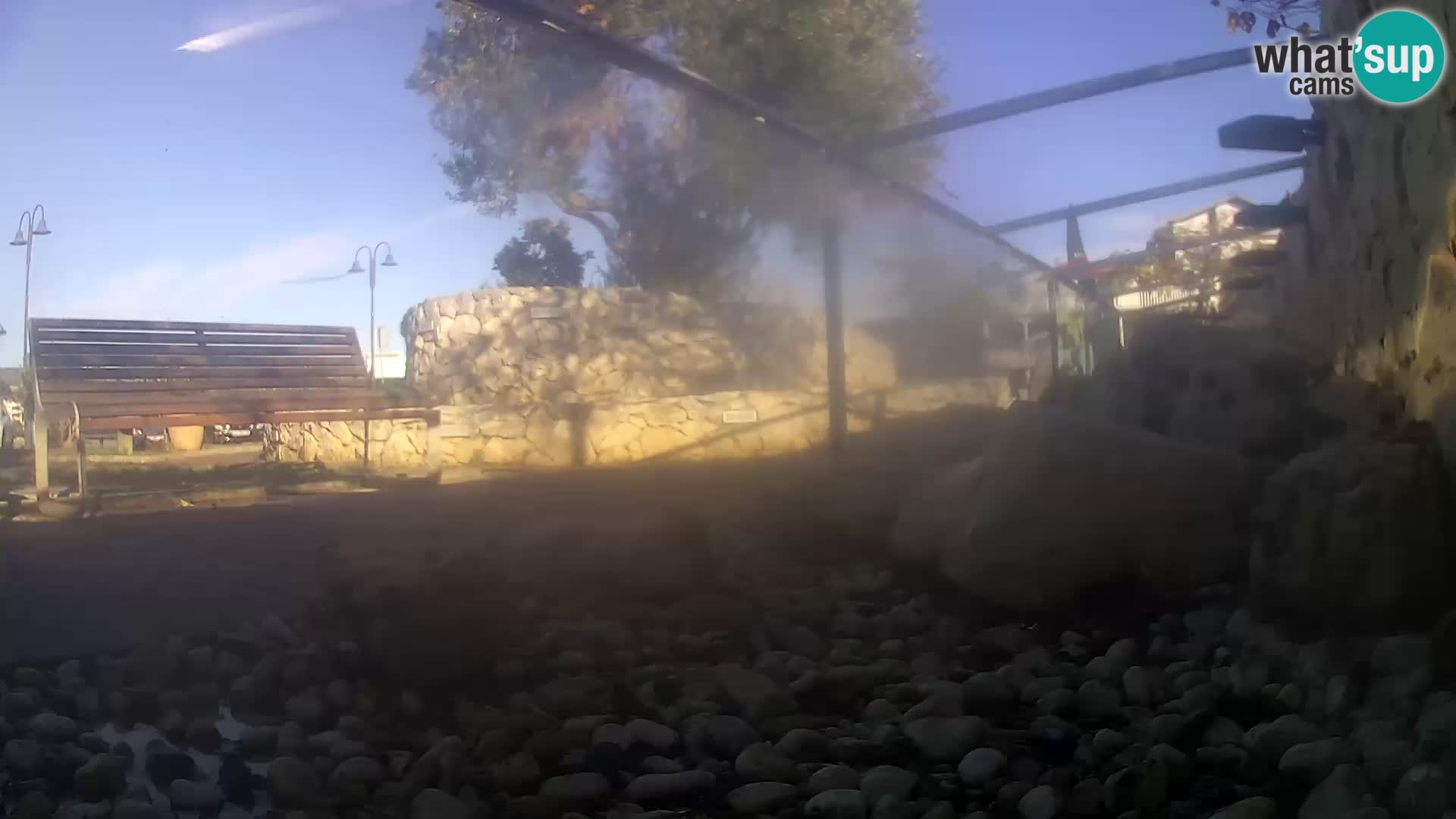 Aquario marino esterno –  Rogoznica livecam Croazia