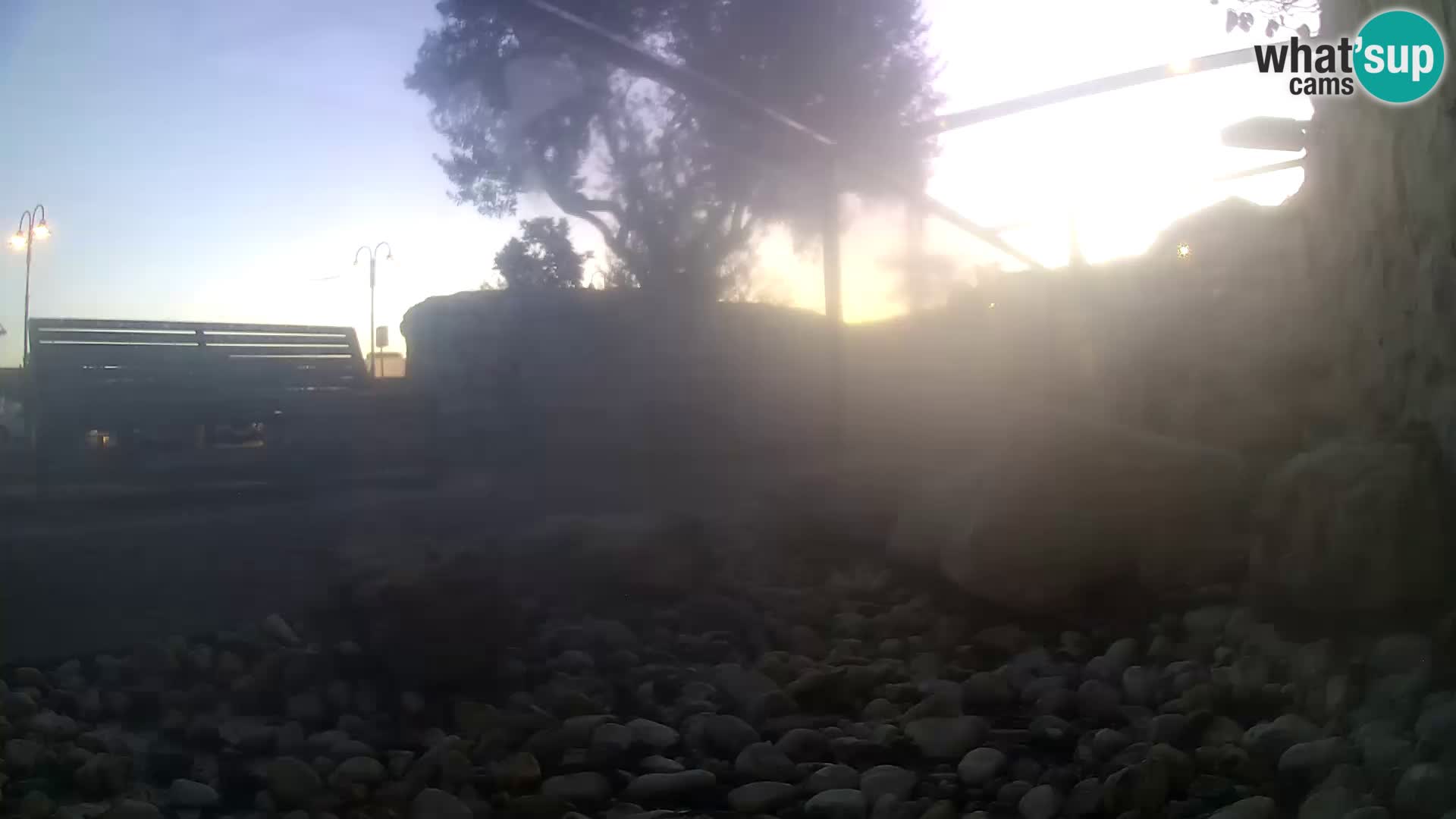 Acuario marino al aire libre Rogoznica webcam Croacia