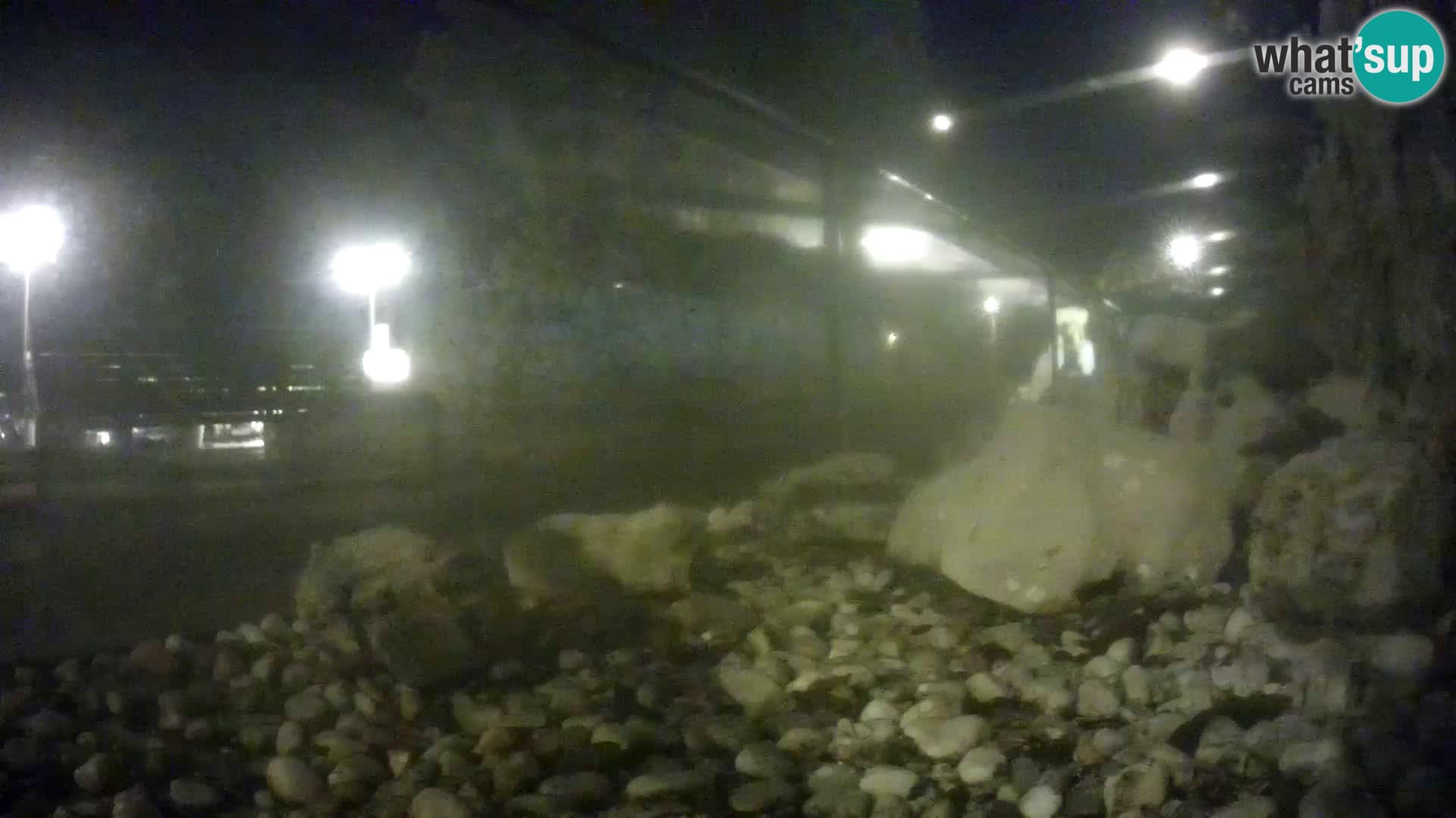 Vanjski morski akvarij Rogoznica web kamera Hrvatska