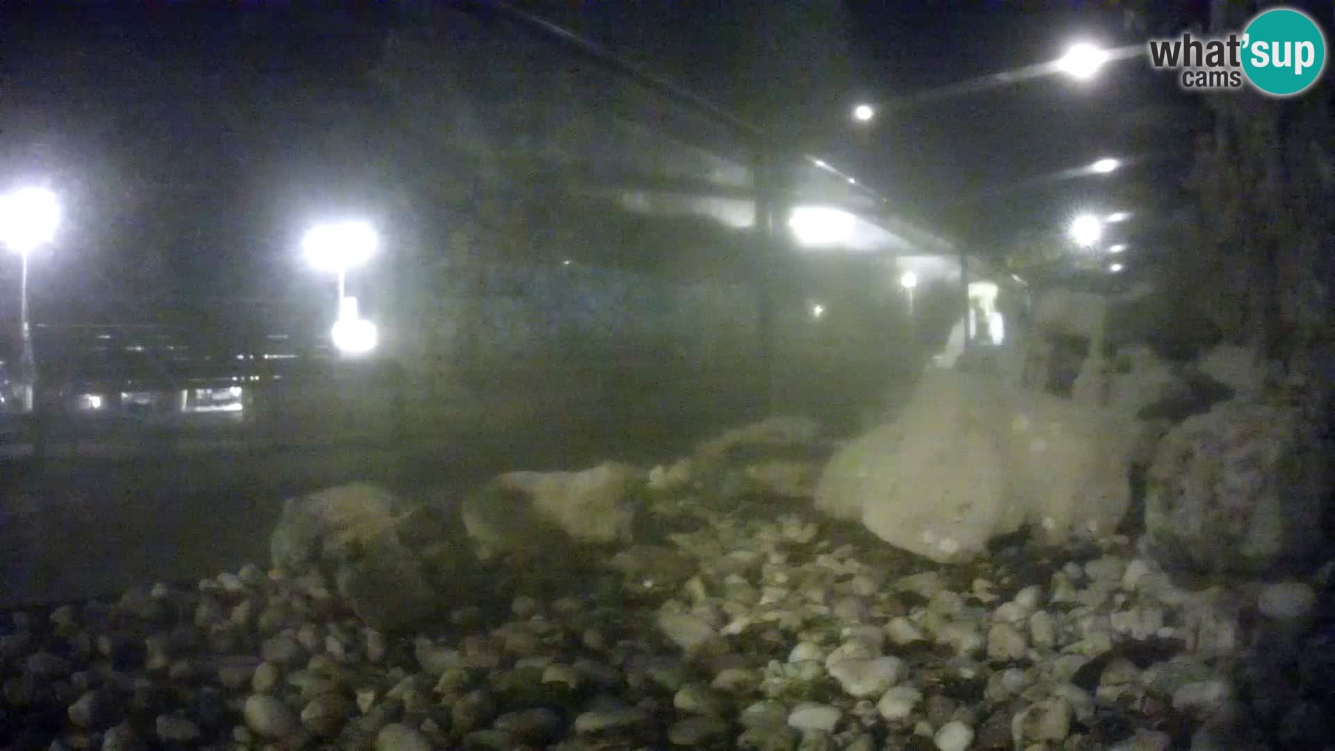 Vanjski morski akvarij Rogoznica web kamera Hrvatska