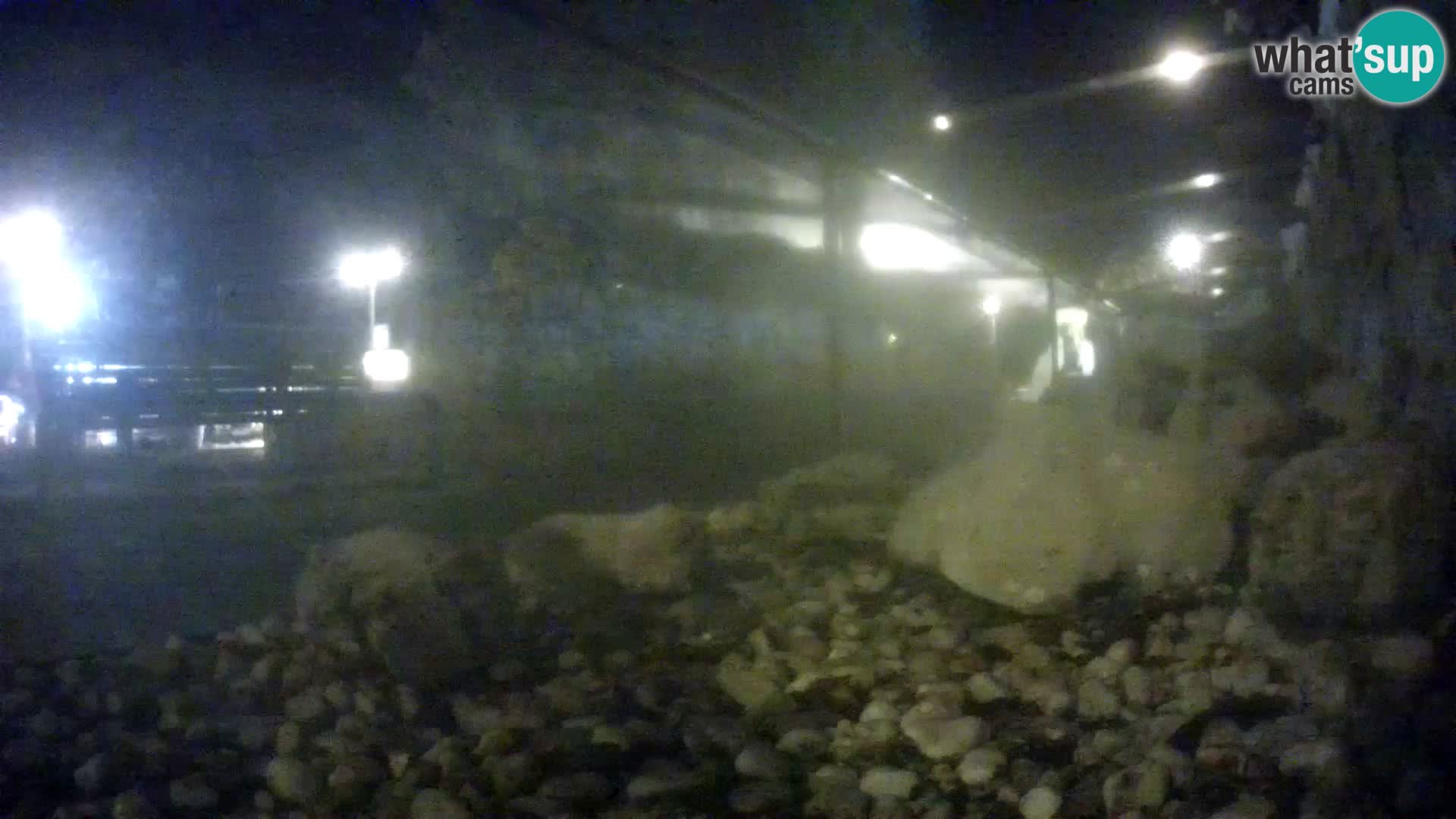 Aquario marino esterno –  Rogoznica livecam Croazia