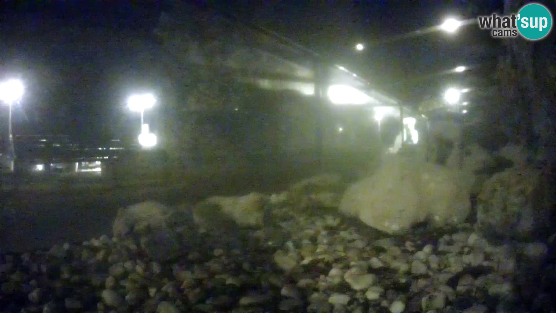 Outdoor Marine Aquarium Rogoznica webcam Croatia