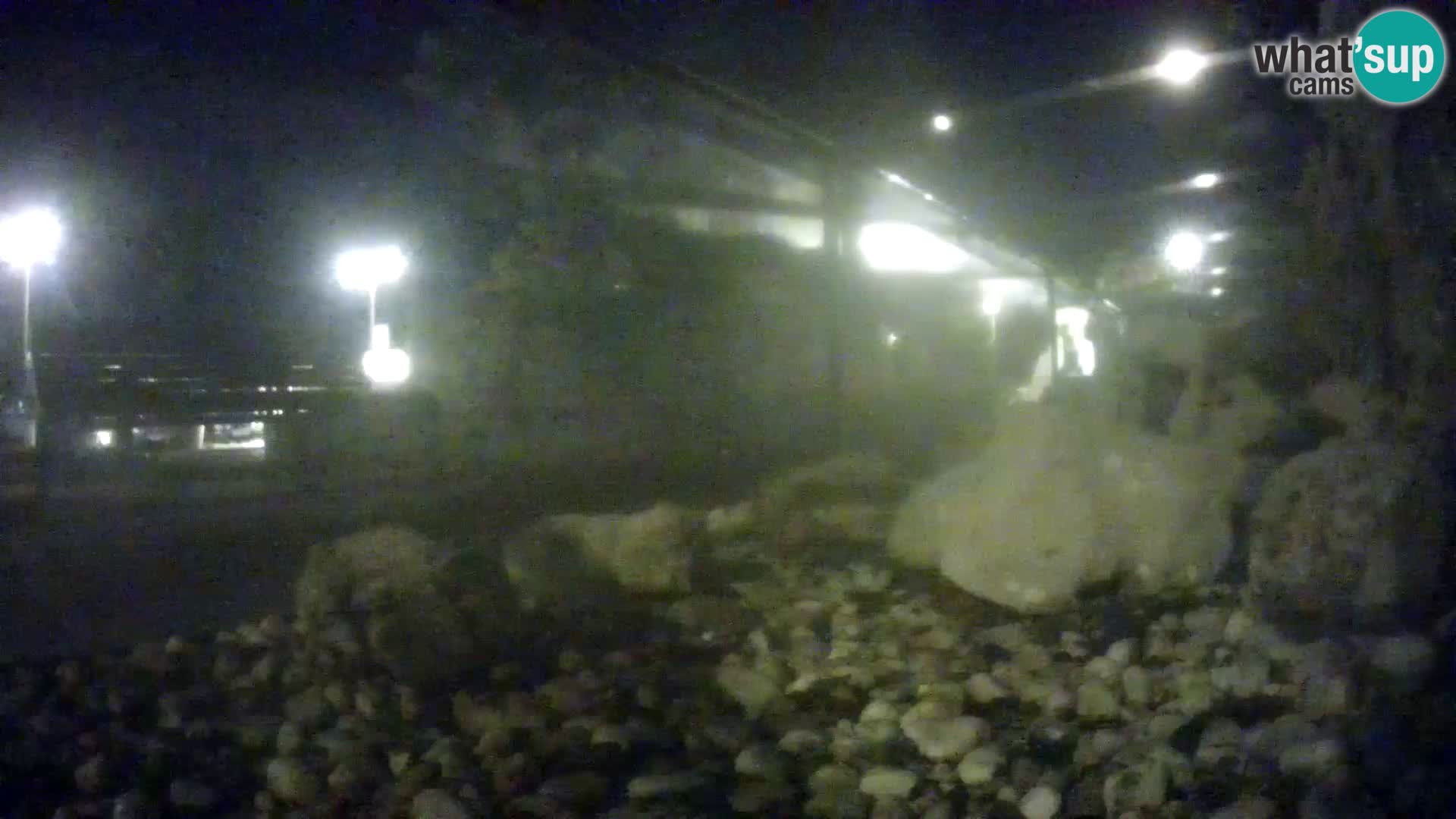 Outdoor Marine Aquarium Rogoznica webcam Croatia