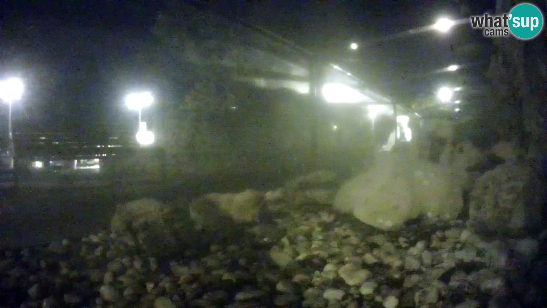 Marine Aquarium im Freien Rogoznica webcam Kroatien