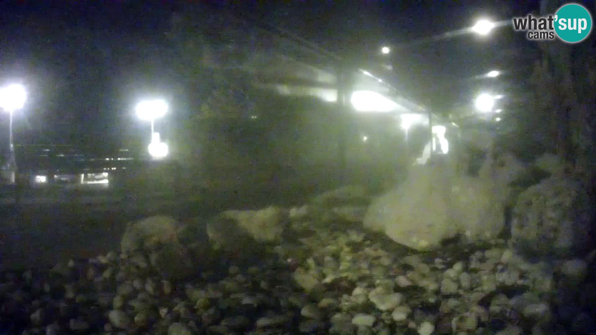 Acuario marino al aire libre Rogoznica webcam Croacia