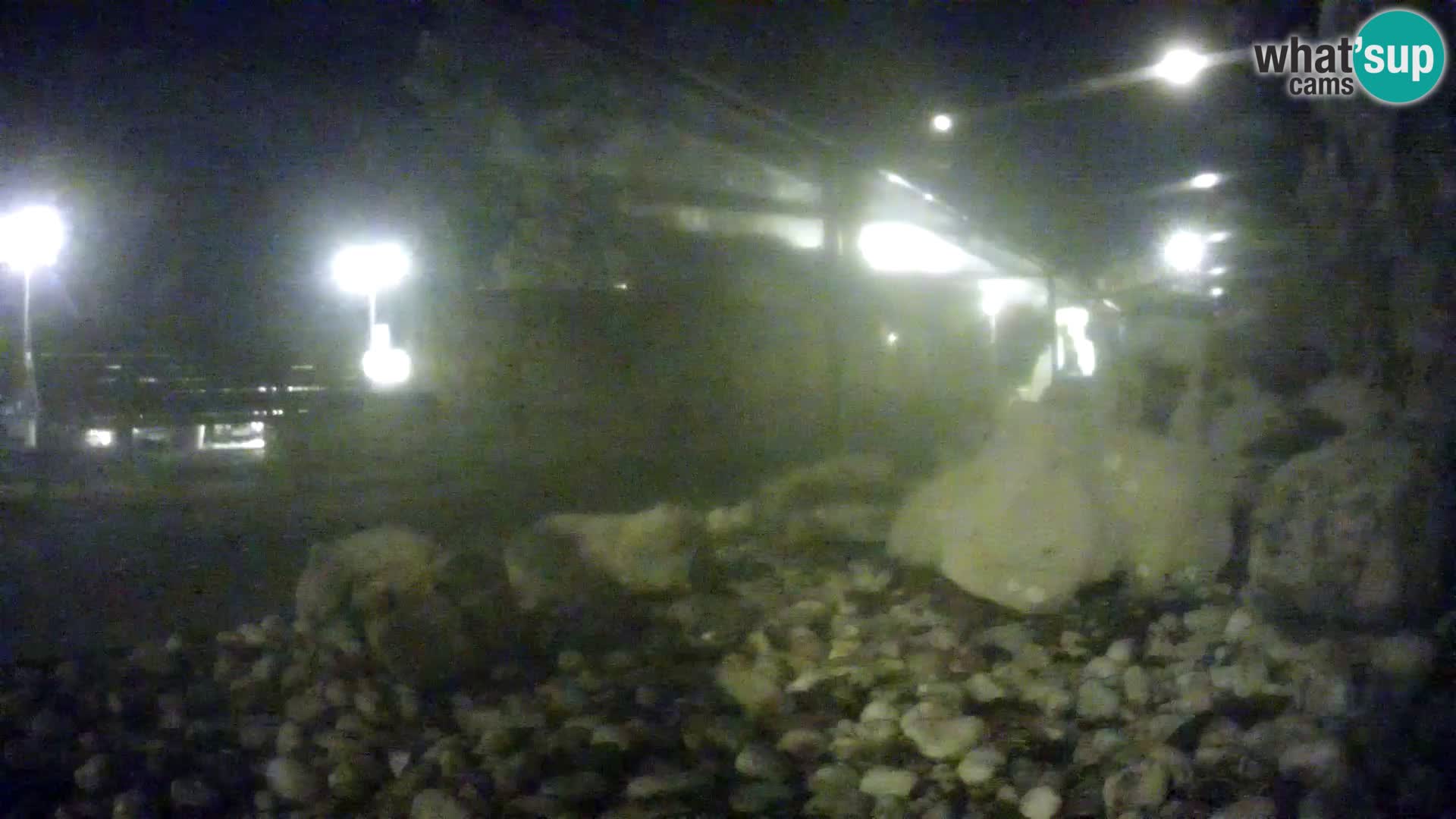 Acuario marino al aire libre Rogoznica webcam Croacia