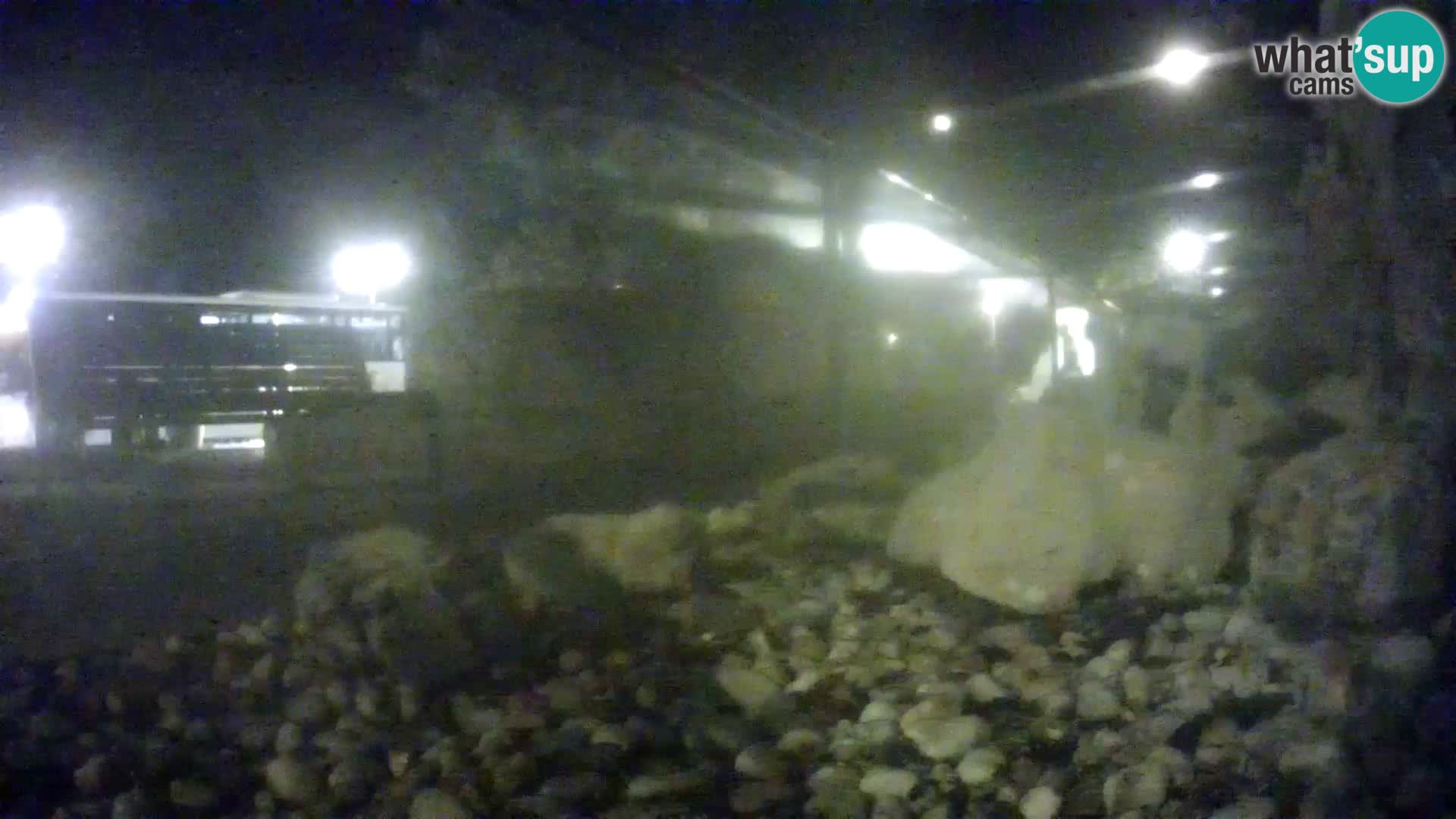 Outdoor Marine Aquarium Rogoznica webcam Croatia