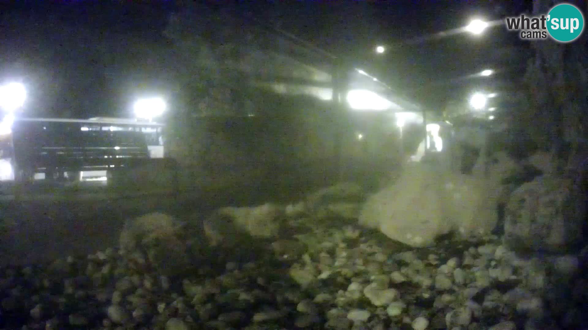 Acuario marino al aire libre Rogoznica webcam Croacia