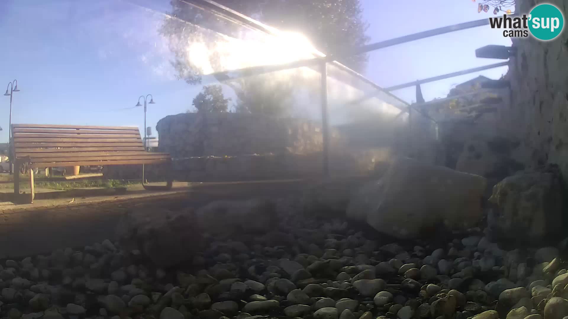 Acuario marino al aire libre Rogoznica webcam Croacia