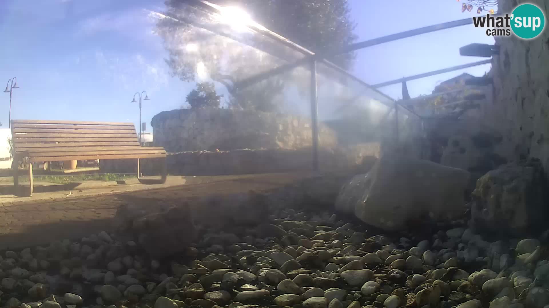 Vanjski morski akvarij Rogoznica web kamera Hrvatska