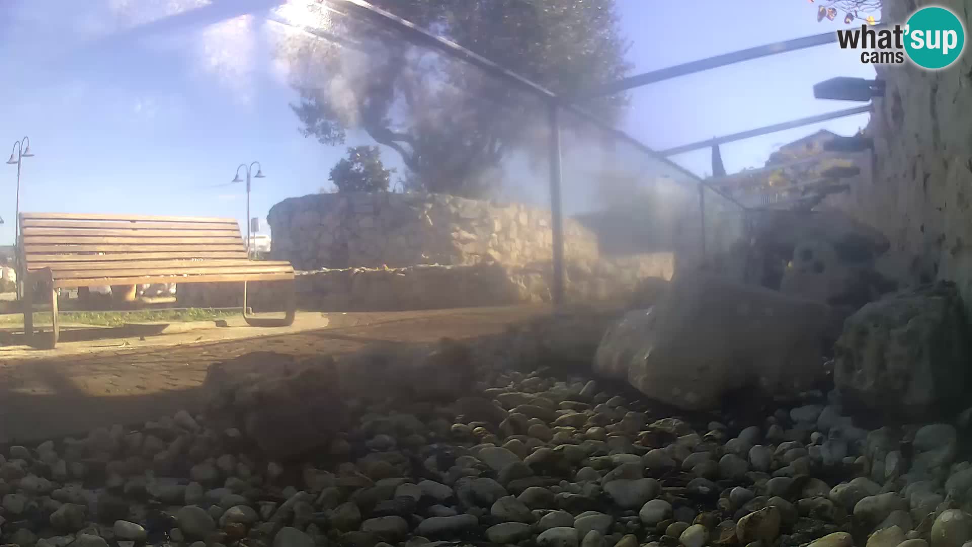 Vanjski morski akvarij Rogoznica web kamera Hrvatska