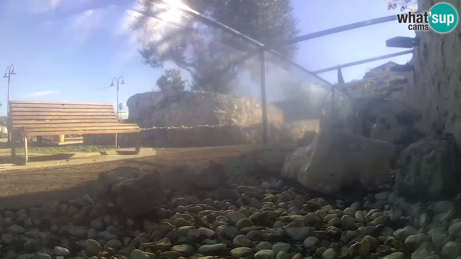 Zunanji morski akvarij Rogoznica spletna kamera Hrvaška