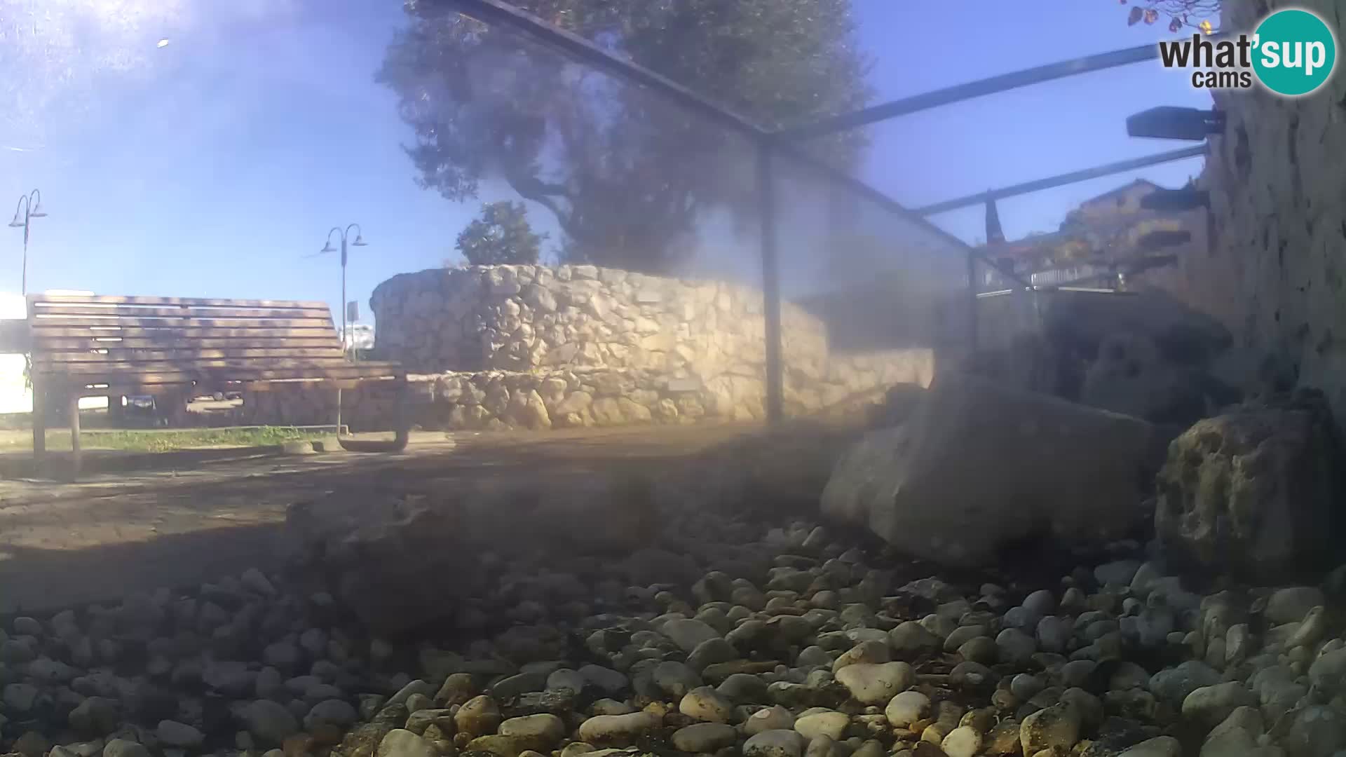 Acuario marino al aire libre Rogoznica webcam Croacia