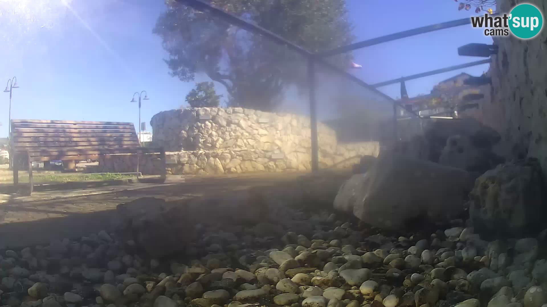 Webcam de l’aquarium marin extérieur de Rogoznica Croatie