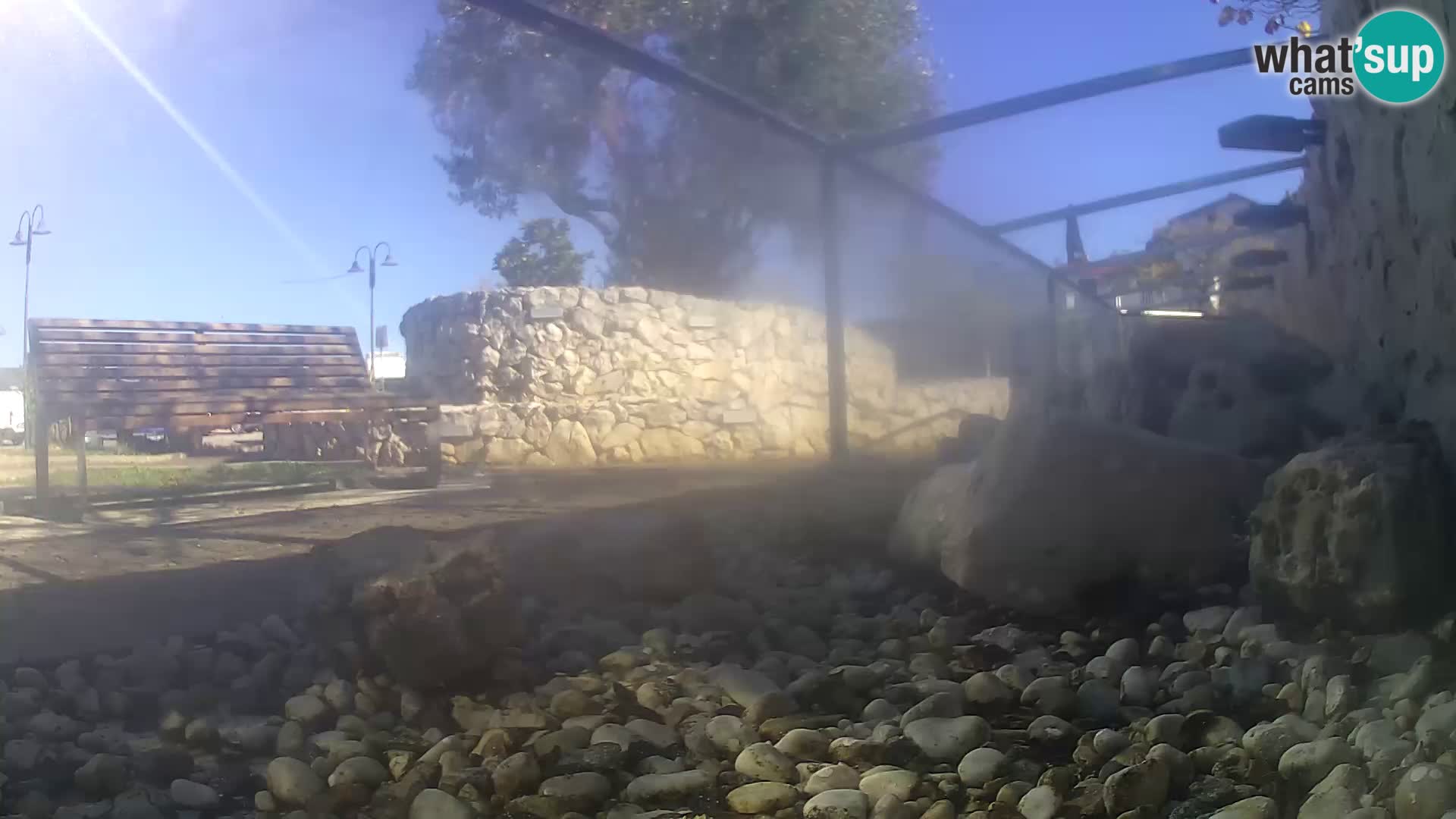 Zunanji morski akvarij Rogoznica spletna kamera Hrvaška