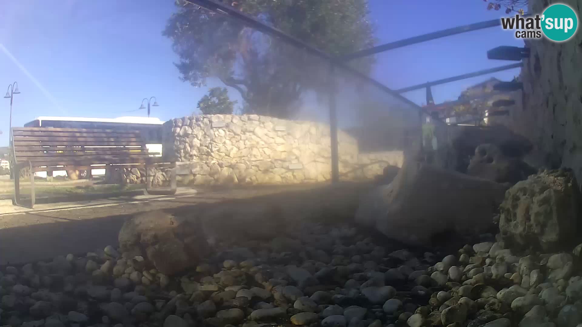 Acuario marino al aire libre Rogoznica webcam Croacia