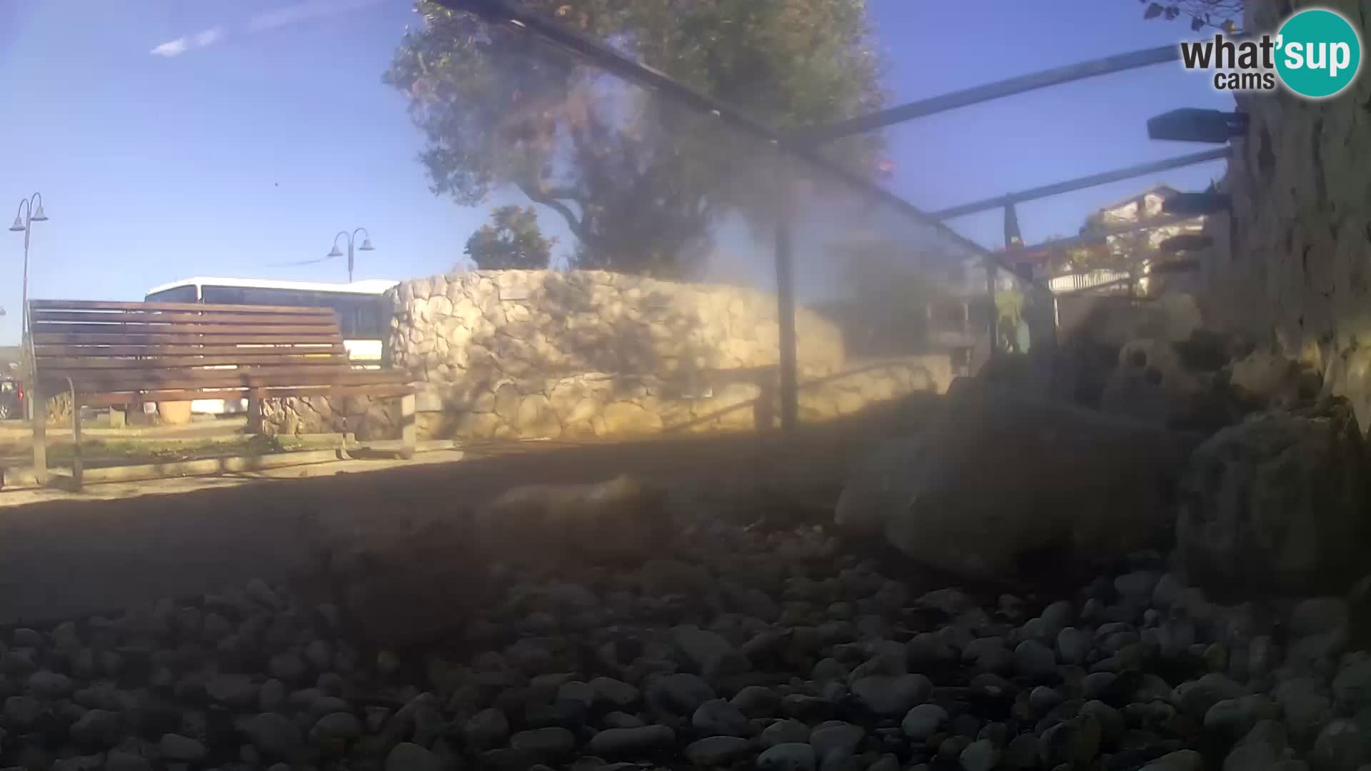 Vanjski morski akvarij Rogoznica web kamera Hrvatska