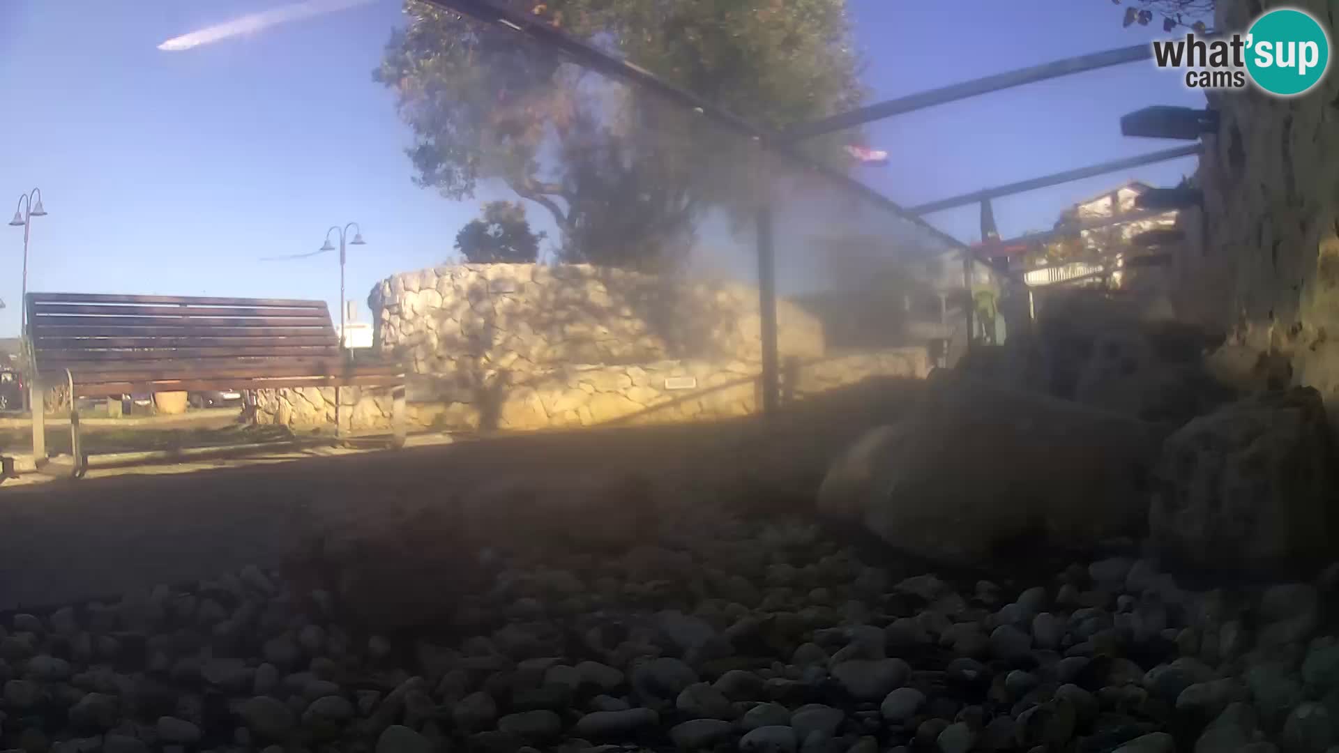 Zunanji morski akvarij Rogoznica spletna kamera Hrvaška